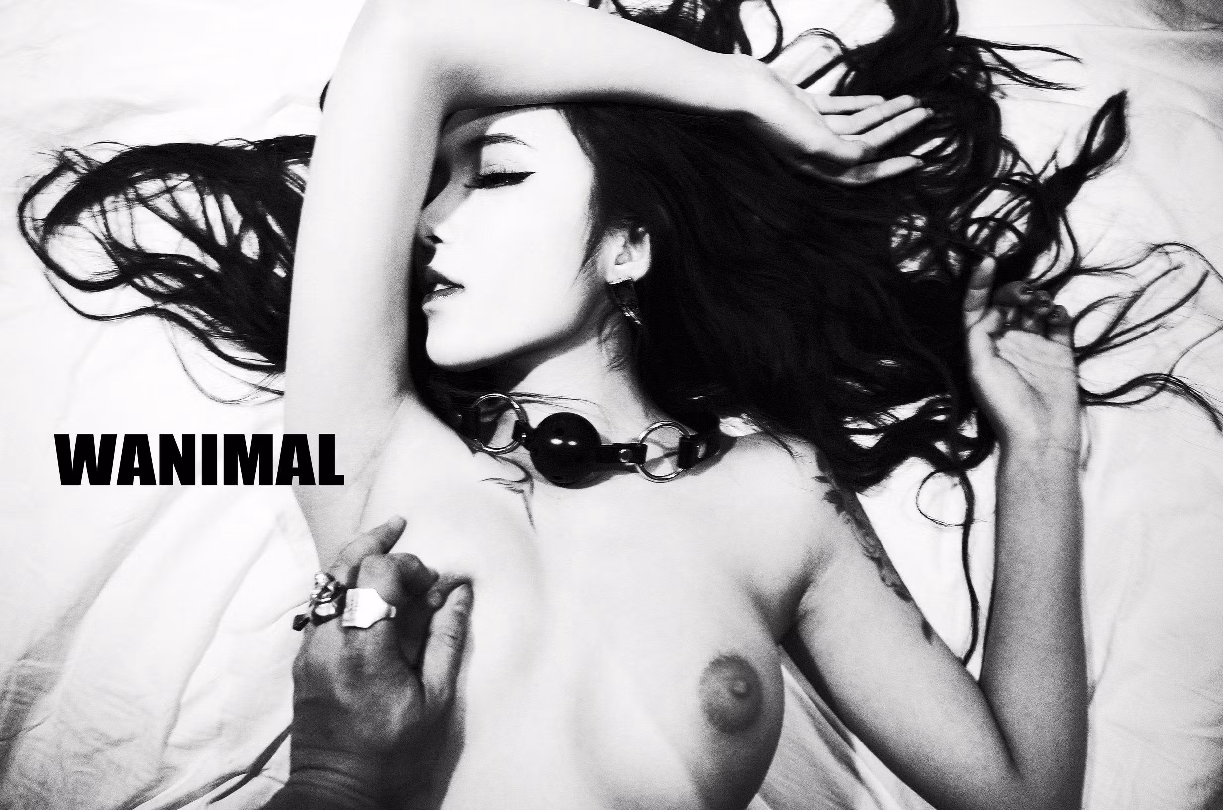 Wanimal王动全套高清人体艺术图片打包下载