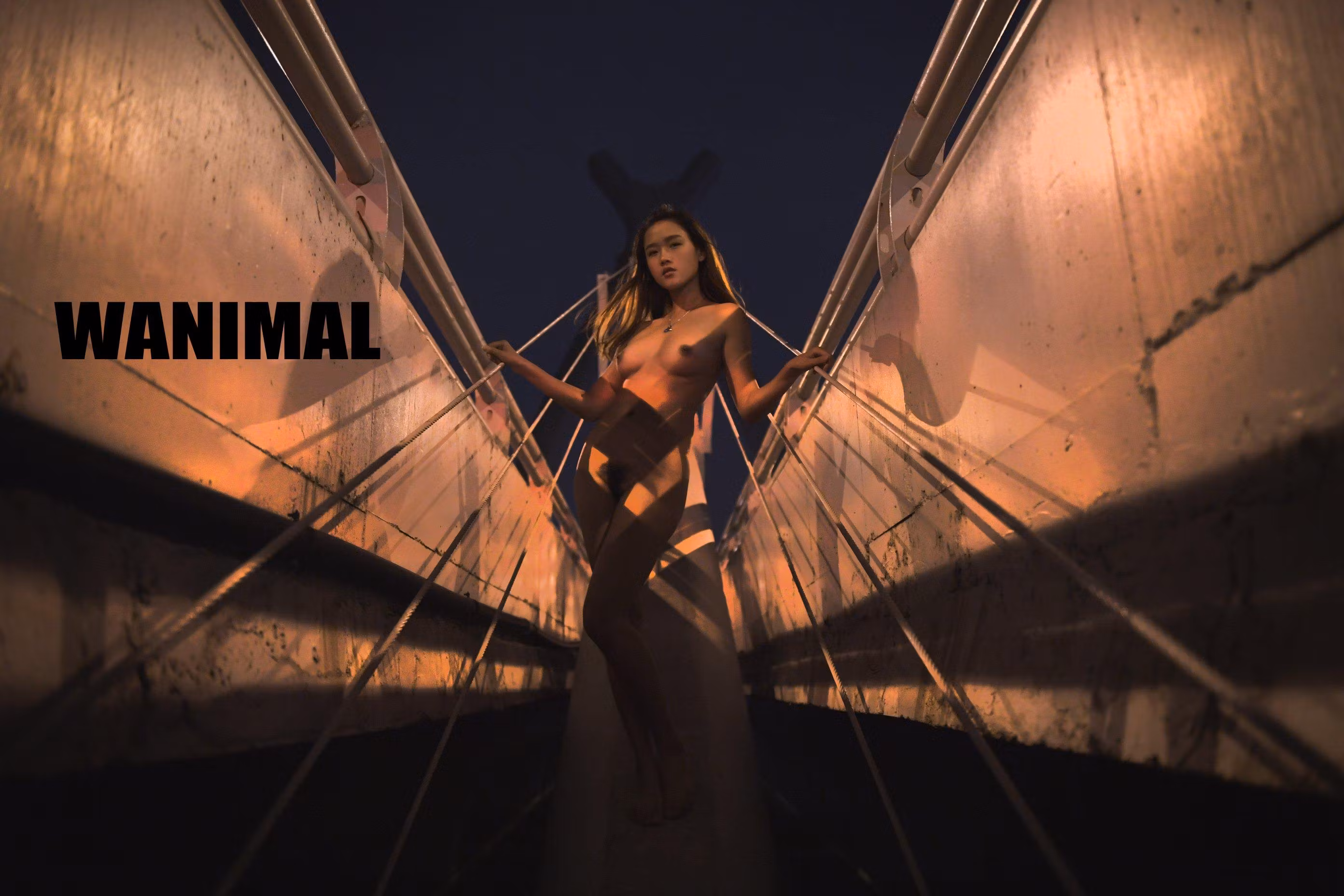 Wanimal王动系列全裸漏点露穴艺术写真