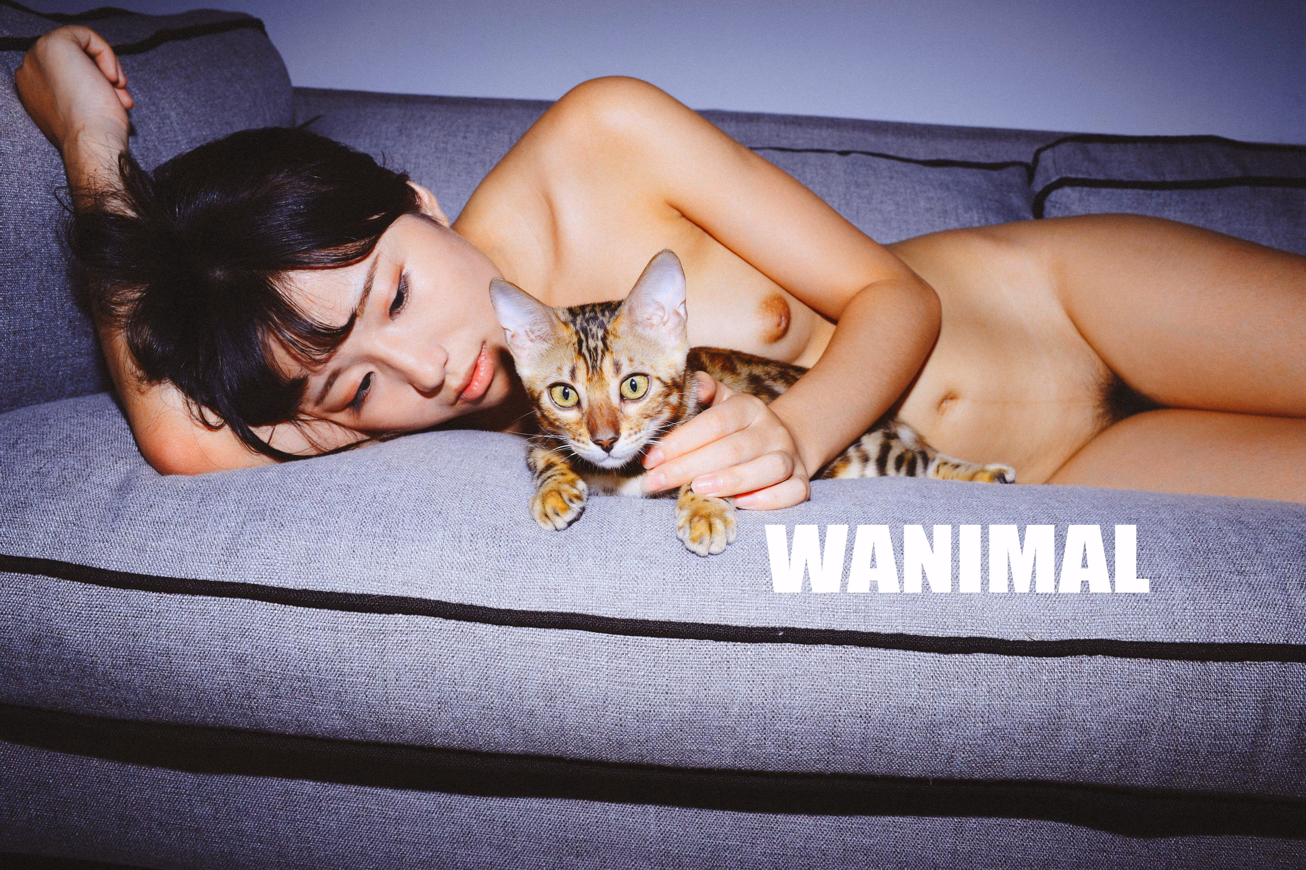 Wanimal王动全套高清图片打包下载