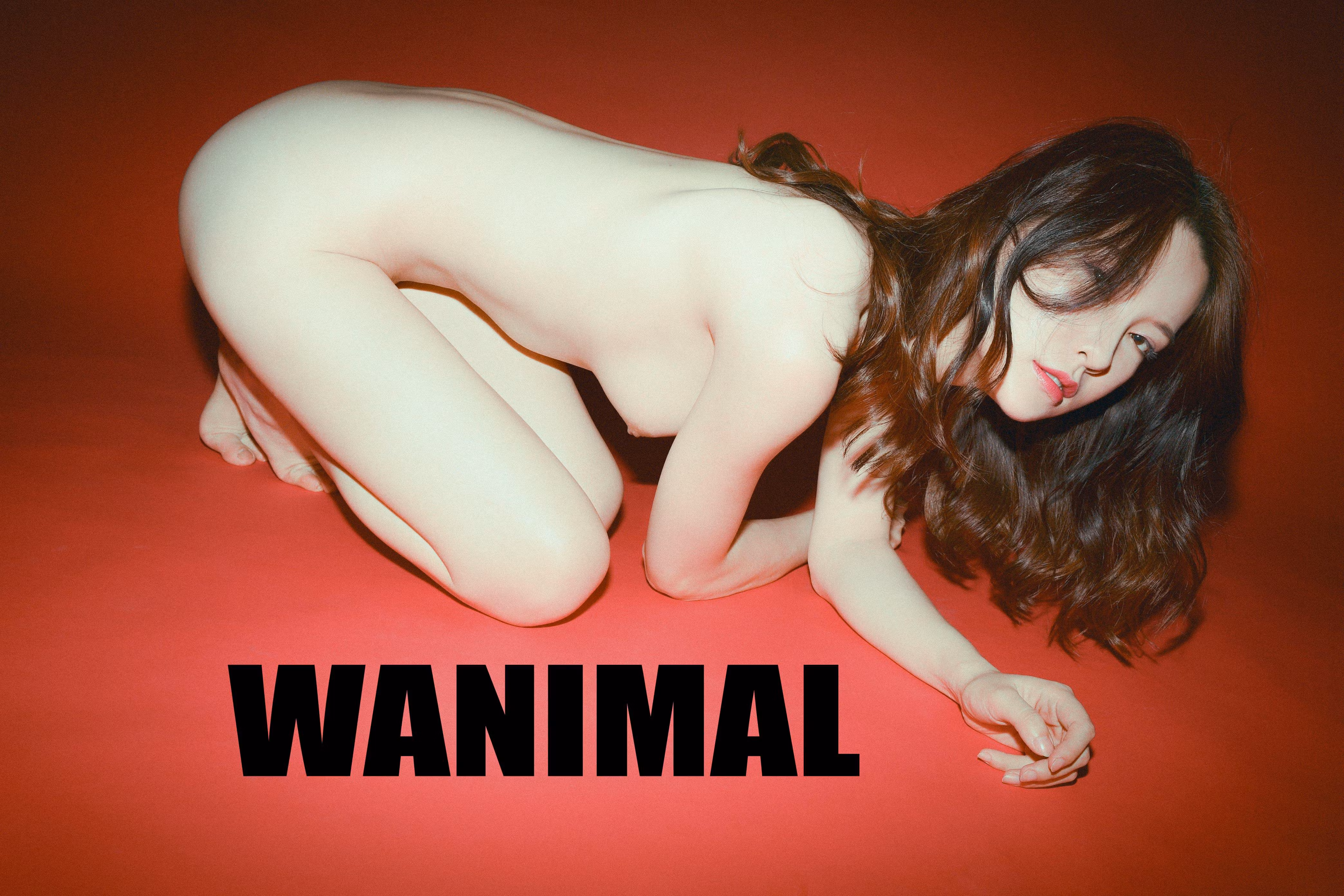 Wanimal王动全套高清图片打包下载