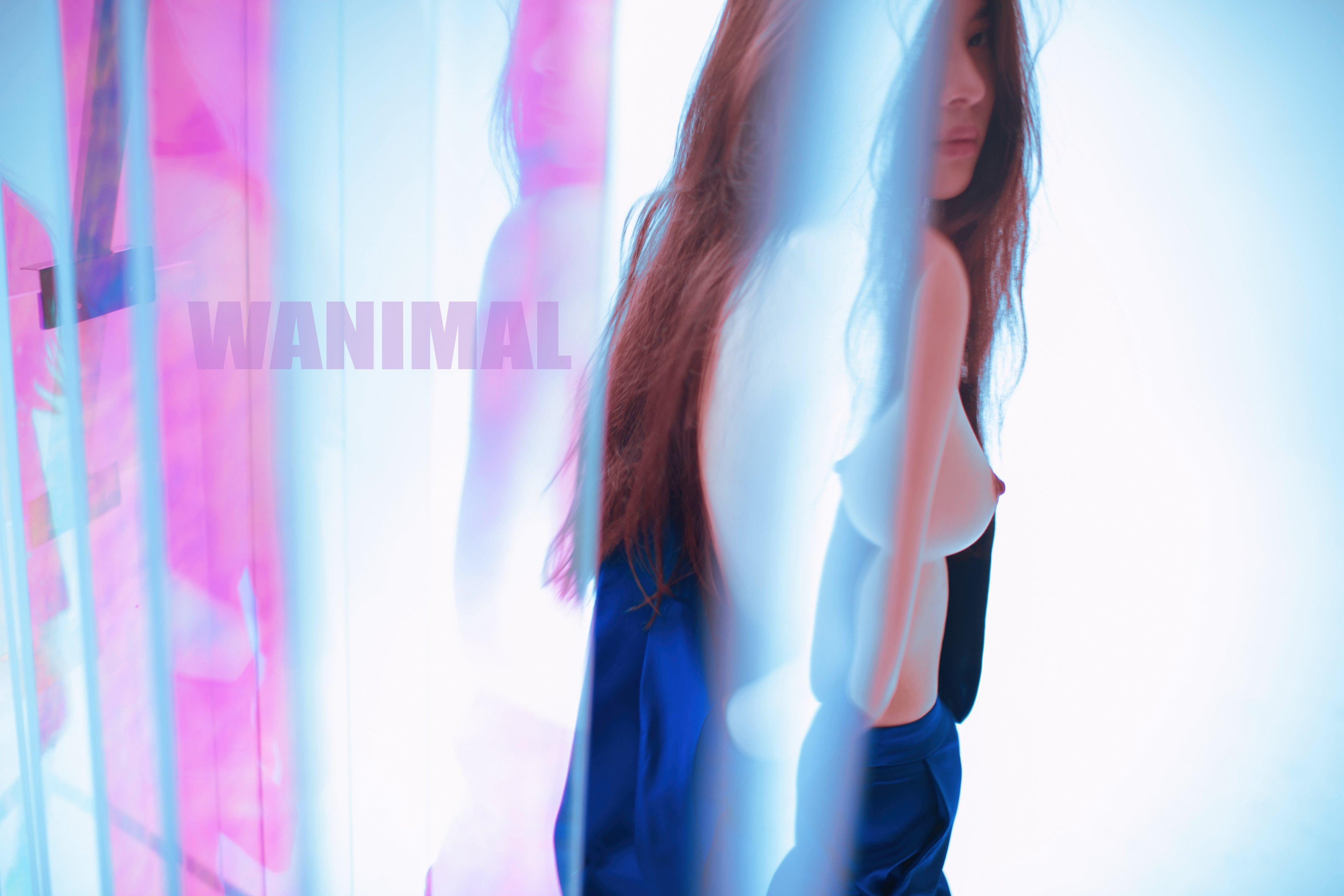 Wanimal王动全套高清图片打包下载