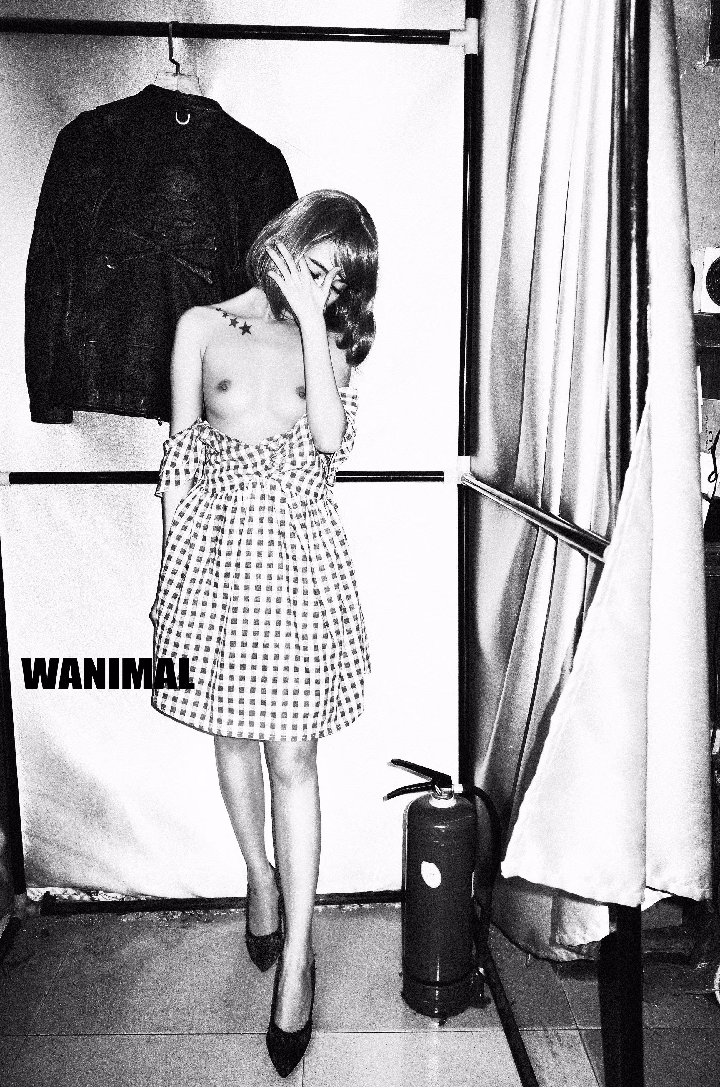 Wanimal王动全套高清图片打包下载