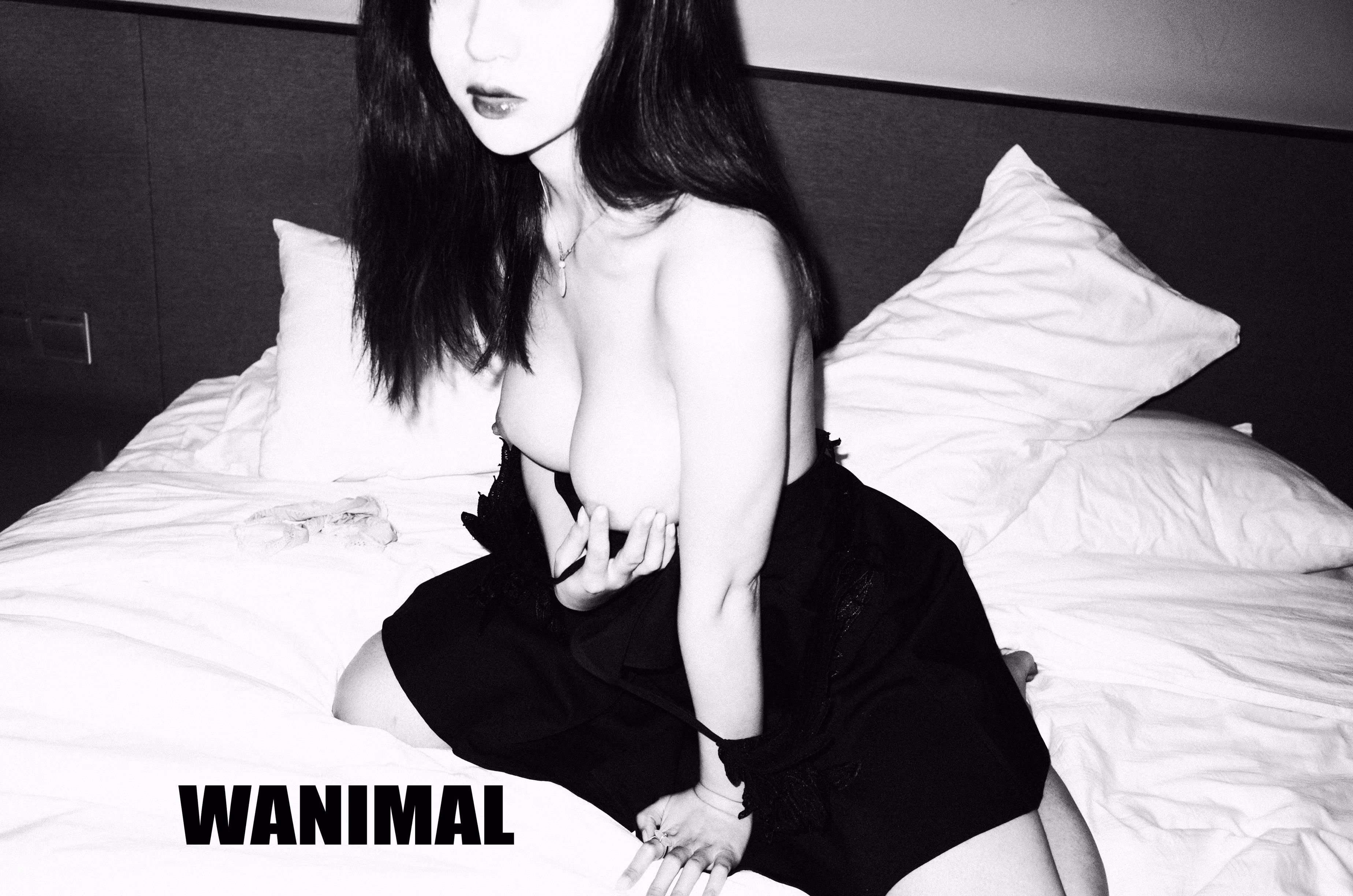 Wanimal王动全套高清图片打包下载