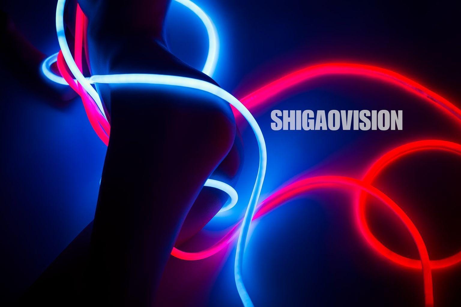 SHIGAOVISION系列全裸大尺度私房写真