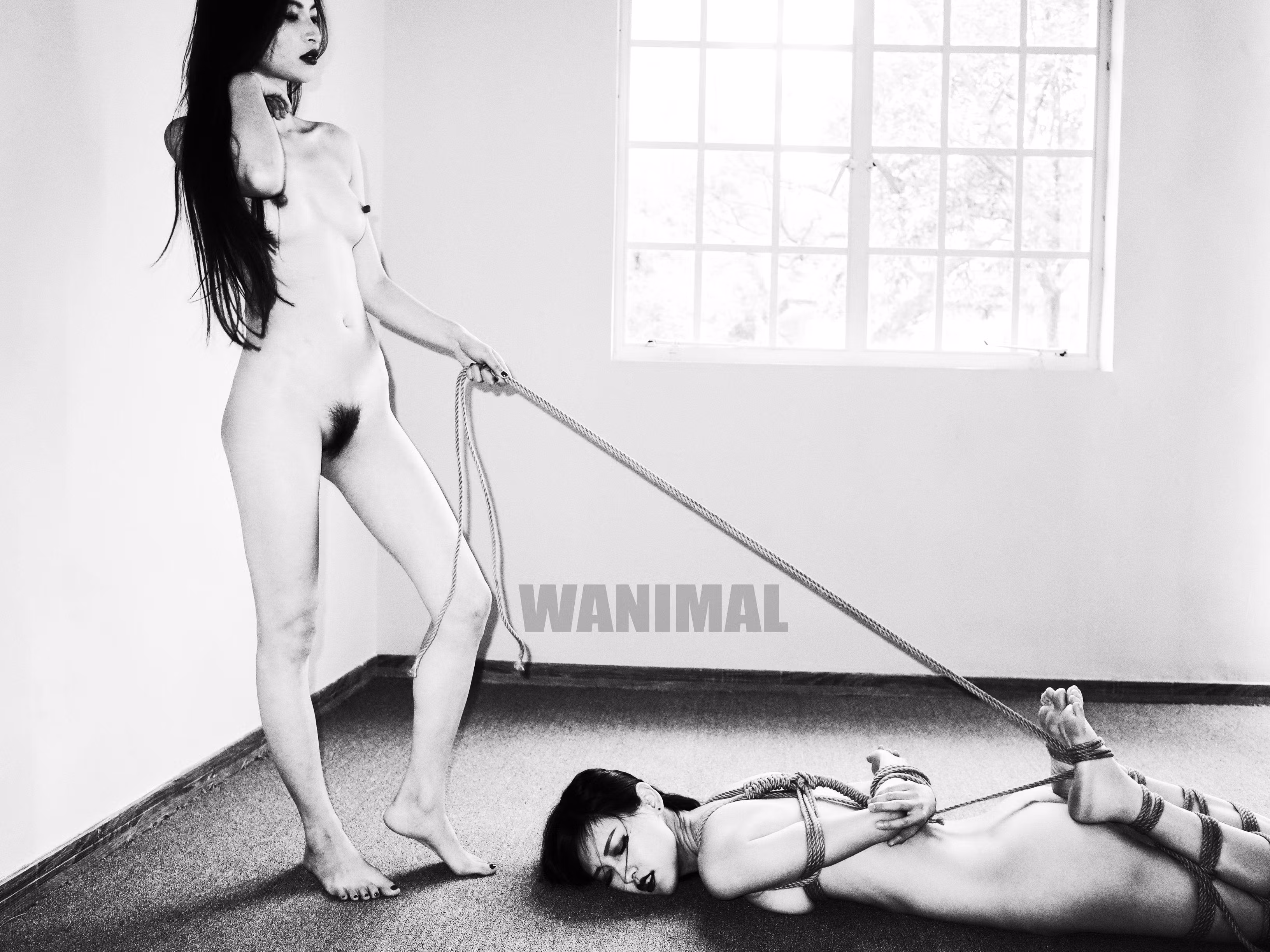 王动WANIMAL系列SM绳艺全裸大尺度私房写真