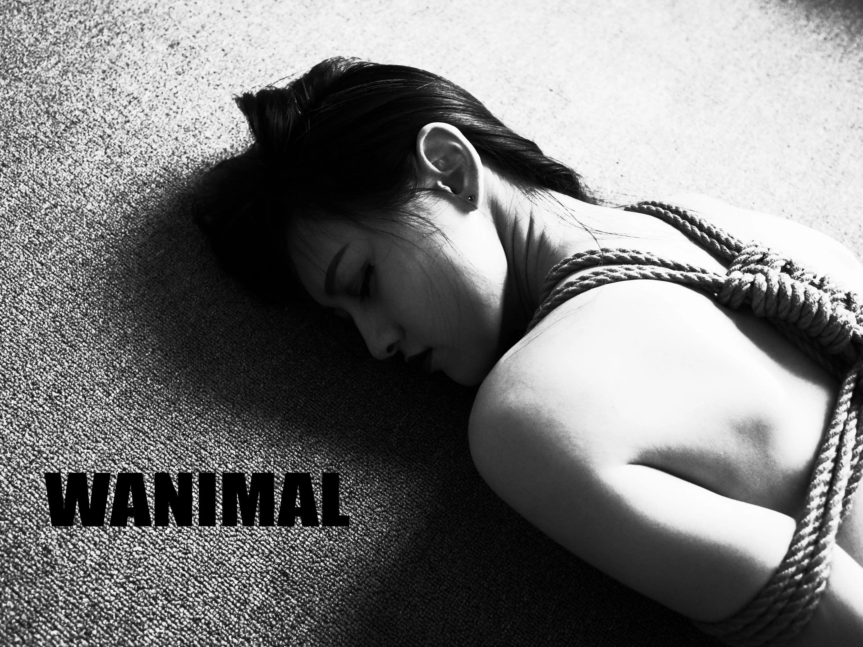 艺术麻绳束缚质感姿势展现性感诱惑女性反差